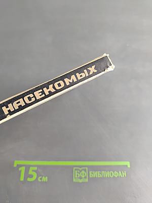 Тайны мира насекомых