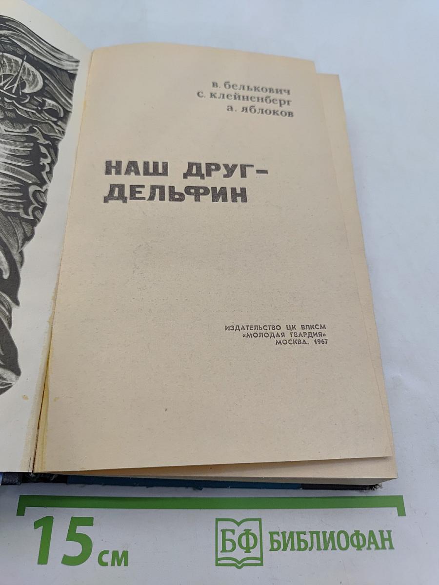 Наш друг-дельфин