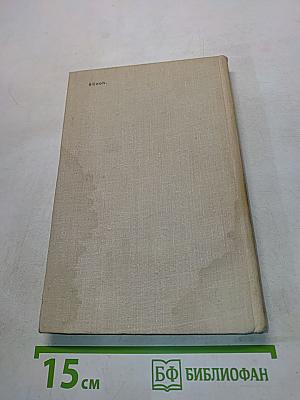 Блокада. Роман-книга 1