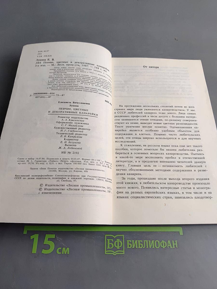 Певчие, цветные и декоративные канарейки