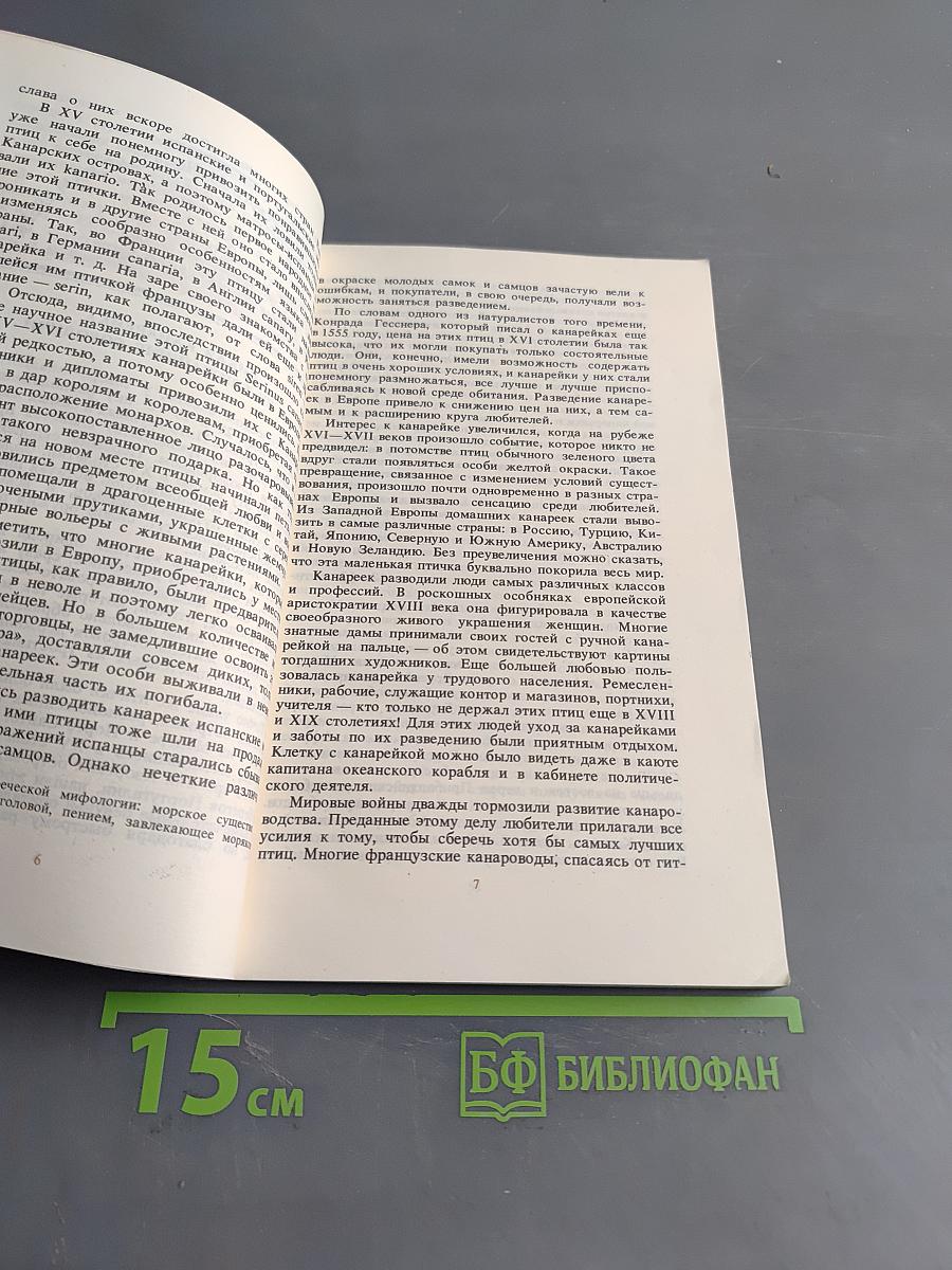 Певчие, цветные и декоративные канарейки