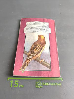 Певчие, цветные и декоративные канарейки
