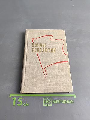 Бойцы революции