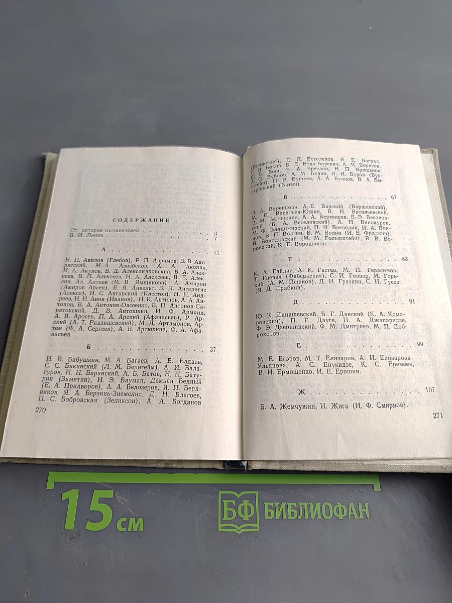 Бойцы революции