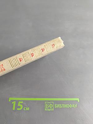 Бойцы революции