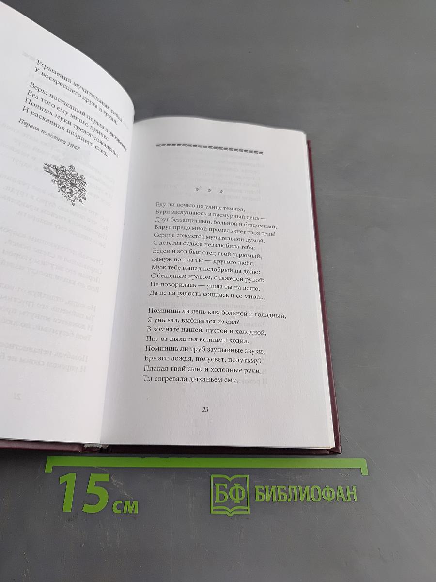 Великие поэты. Николай Некрасов. В дороге