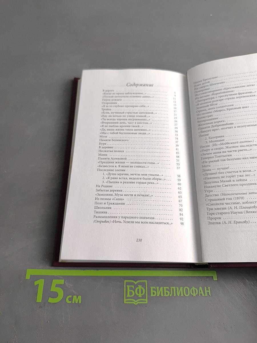 Великие поэты. Николай Некрасов. В дороге