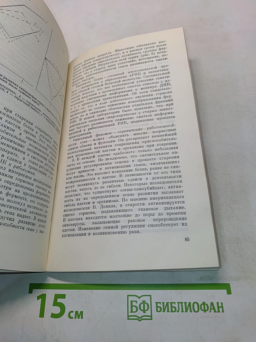 Старение и увеличение продолжительности жизни