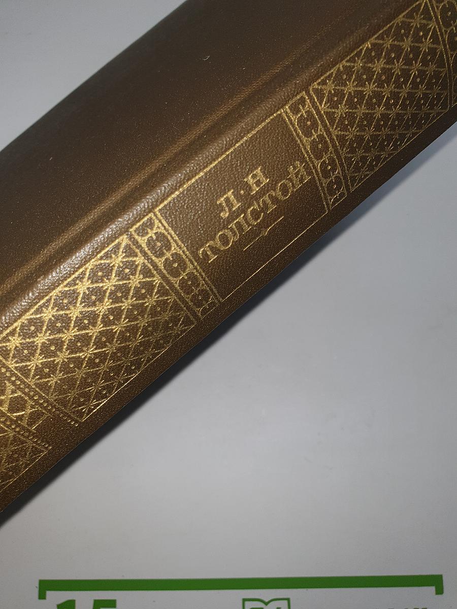 Собрание сочинений. Том 21. Дневники. 1847-1894