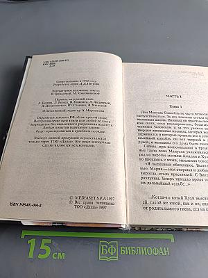 Девушка по имени судьба (Милагрос)