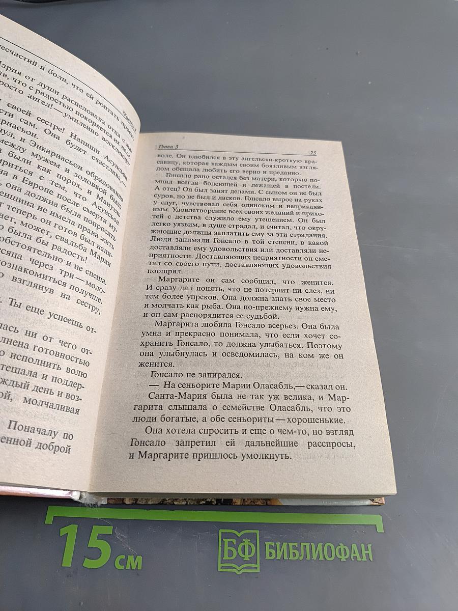 Девушка по имени судьба (Милагрос)