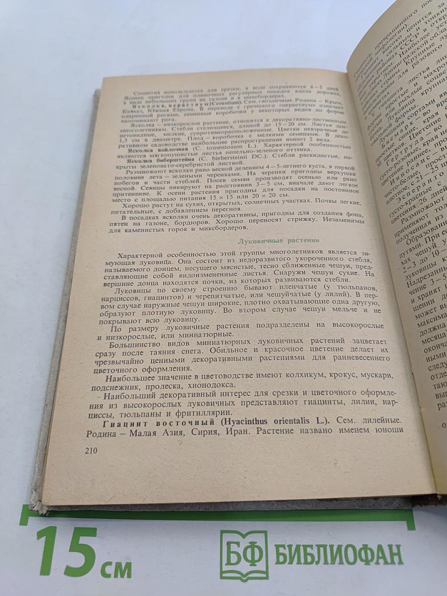 Декоративное цветоводство на приусадебном участке