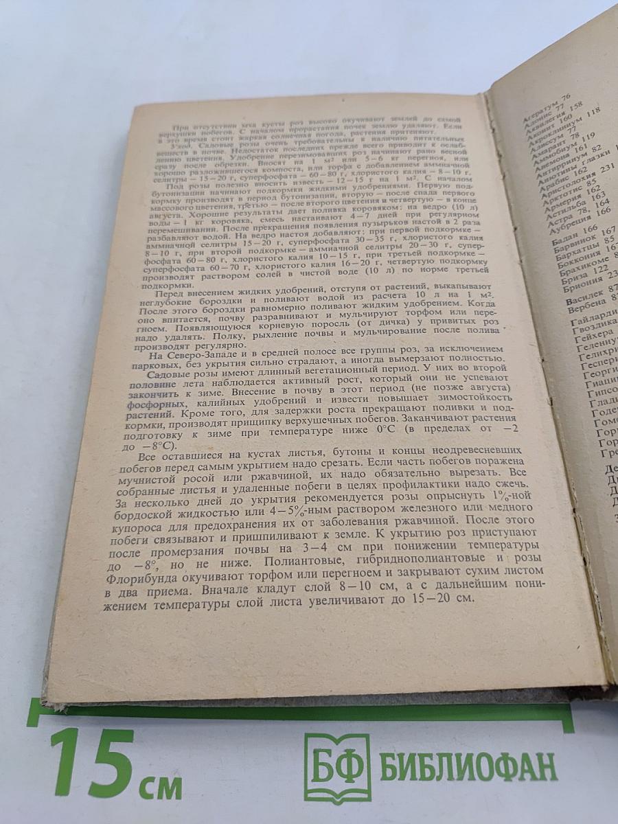 Декоративное цветоводство на приусадебном участке