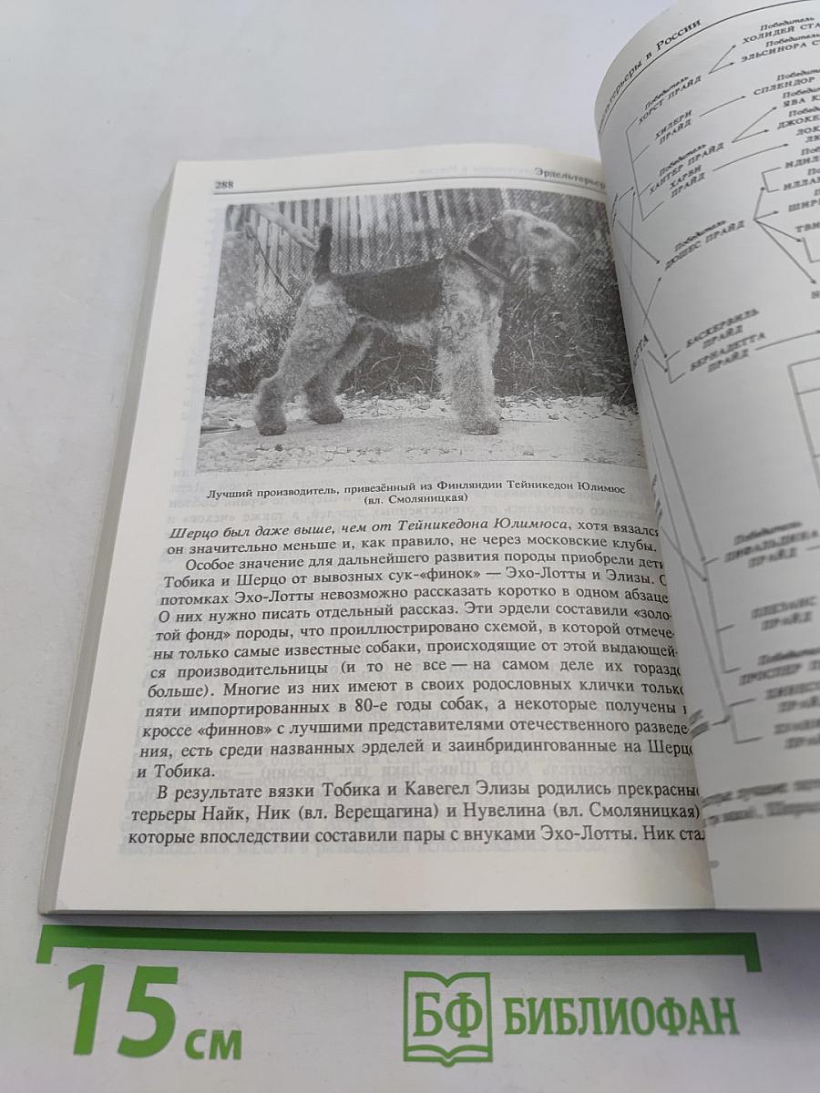 Эрдельтерьер. История, выращивание, разведение