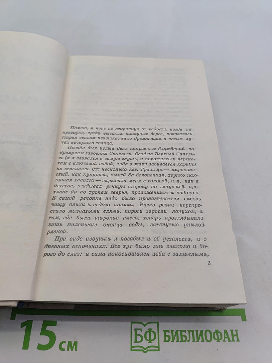 Братья и сестры. Две зимы и три лета