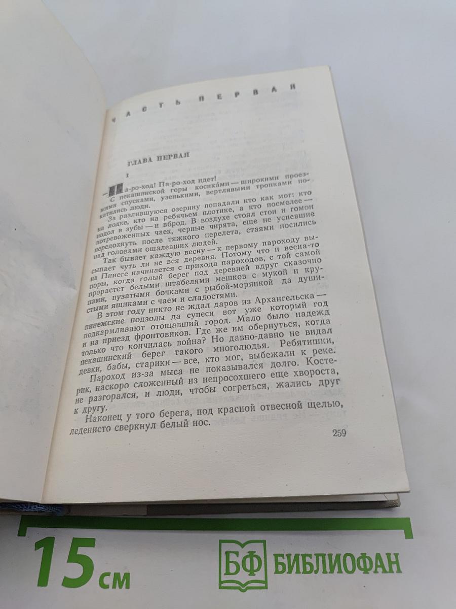 Братья и сестры. Две зимы и три лета