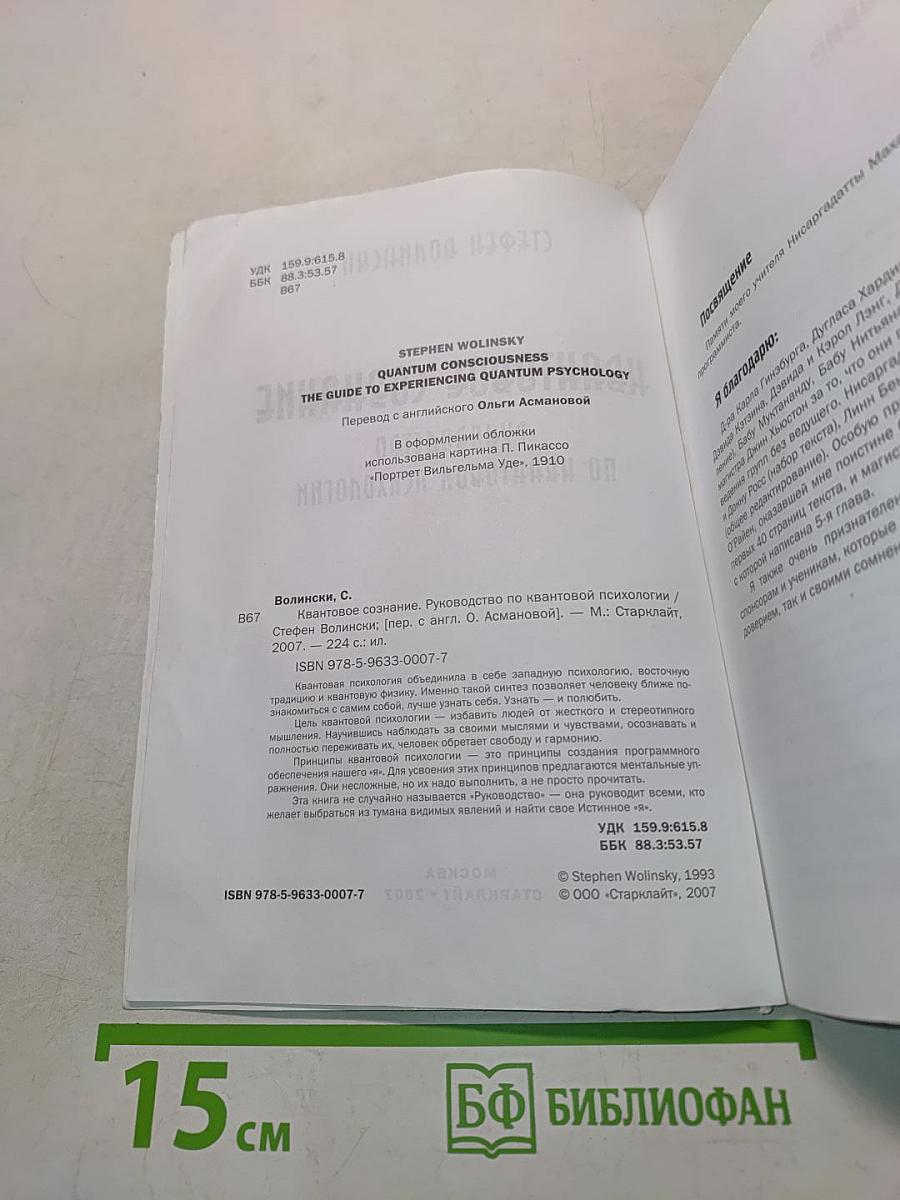 Квантовое сознание. Руководство по квантовой психологии