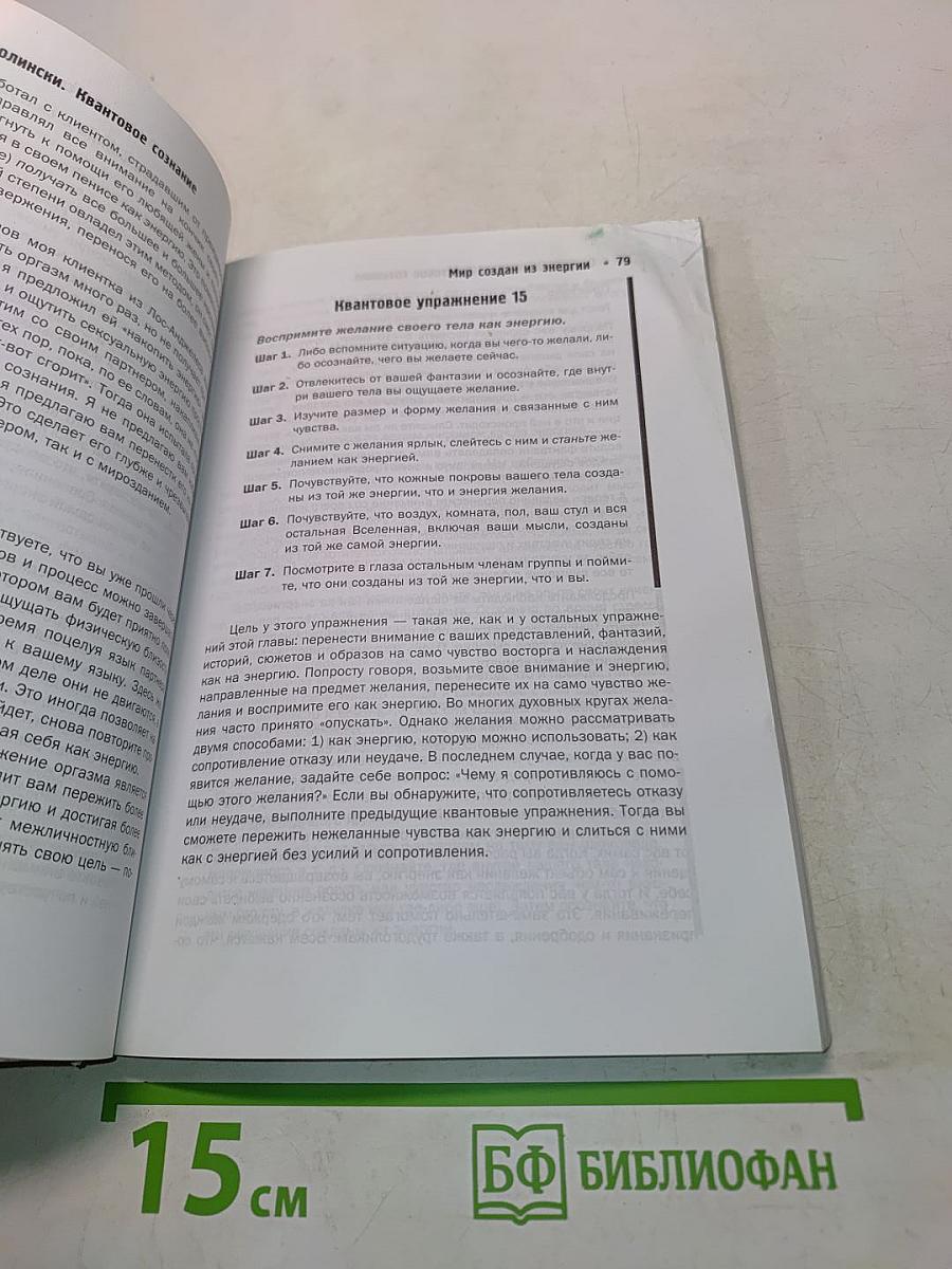 Квантовое сознание. Руководство по квантовой психологии