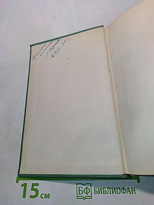 Денис Давыдов. Историческая хроника. Книга вторая