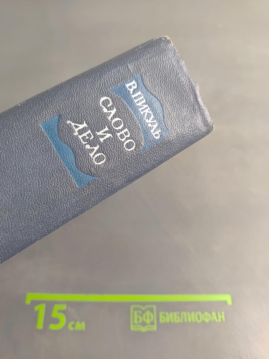 Слово и дело. Книга 2. Мои любезные конфиденты