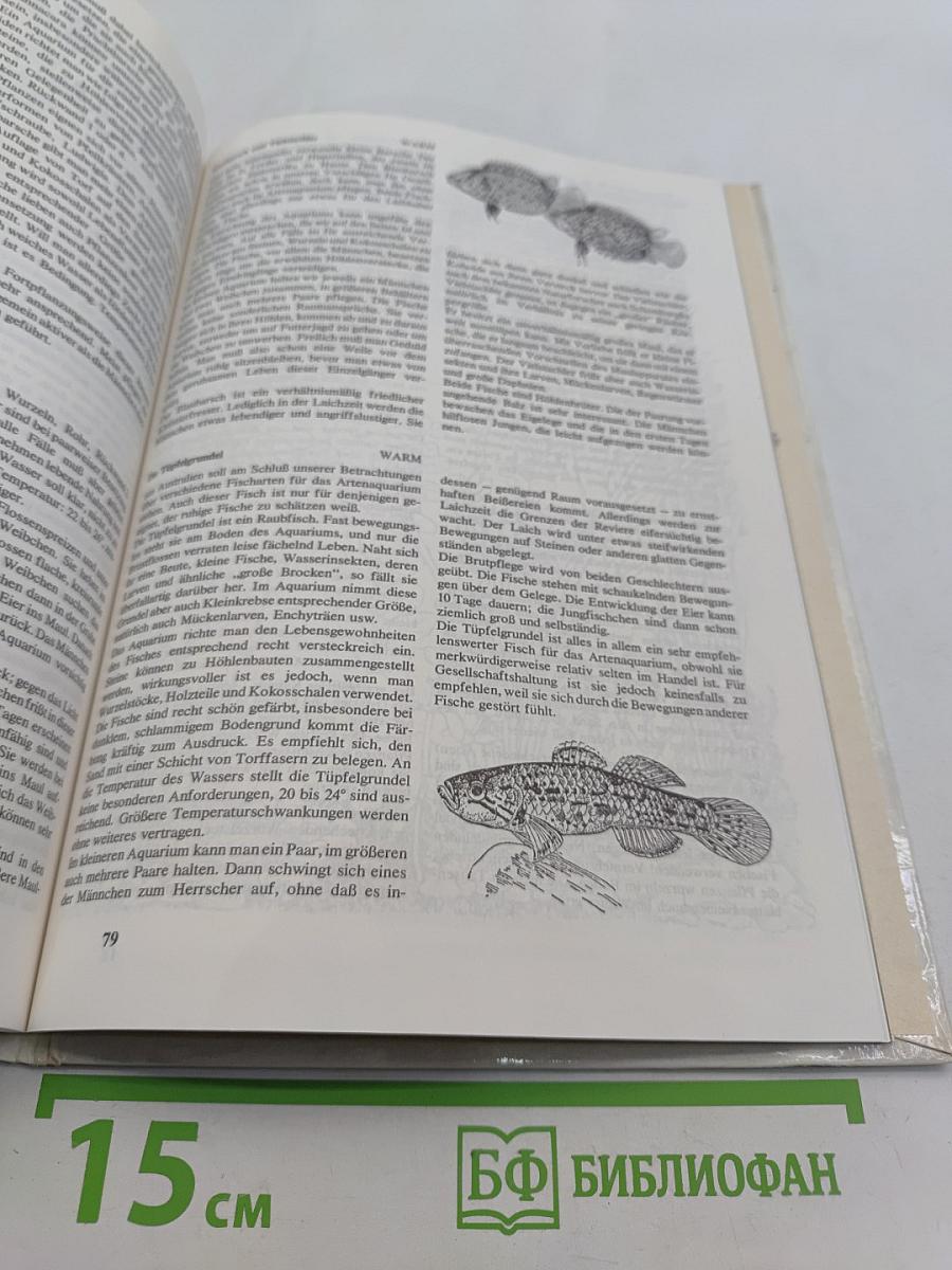 Aquarienpraxis kurz gefasst