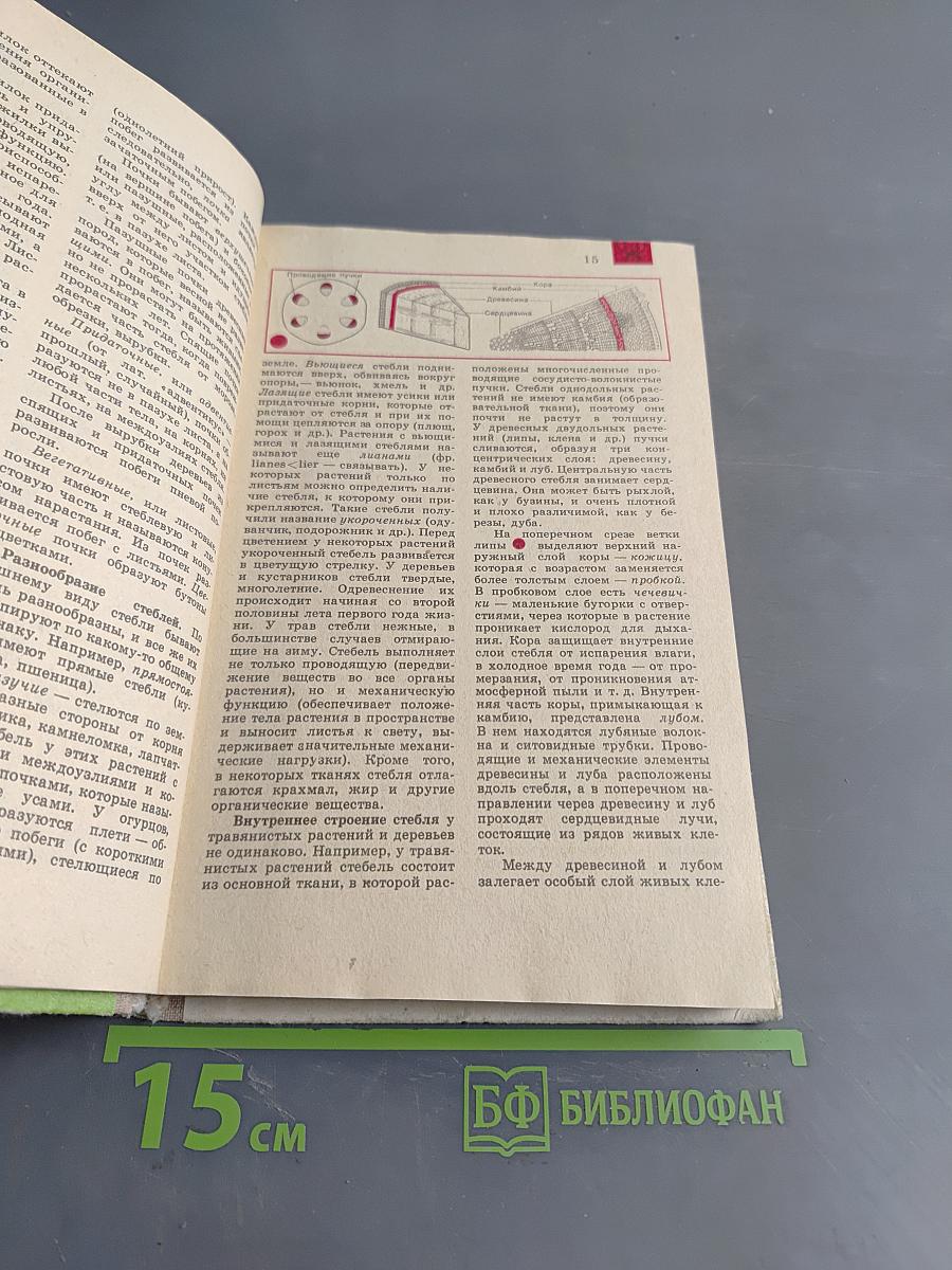 Биология. Справочные материалы