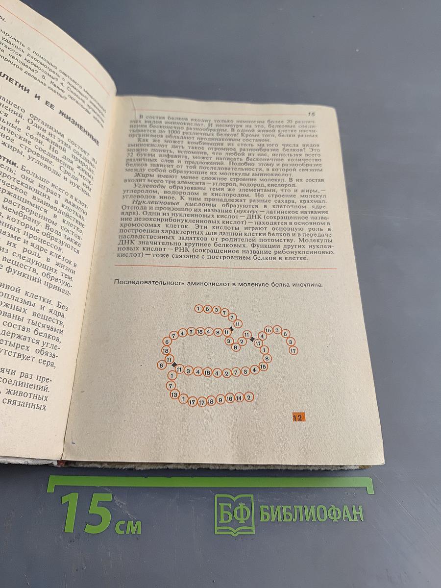 Человек. Анатомия, физиология, гигиена. Учебник для 8 класса средней школы