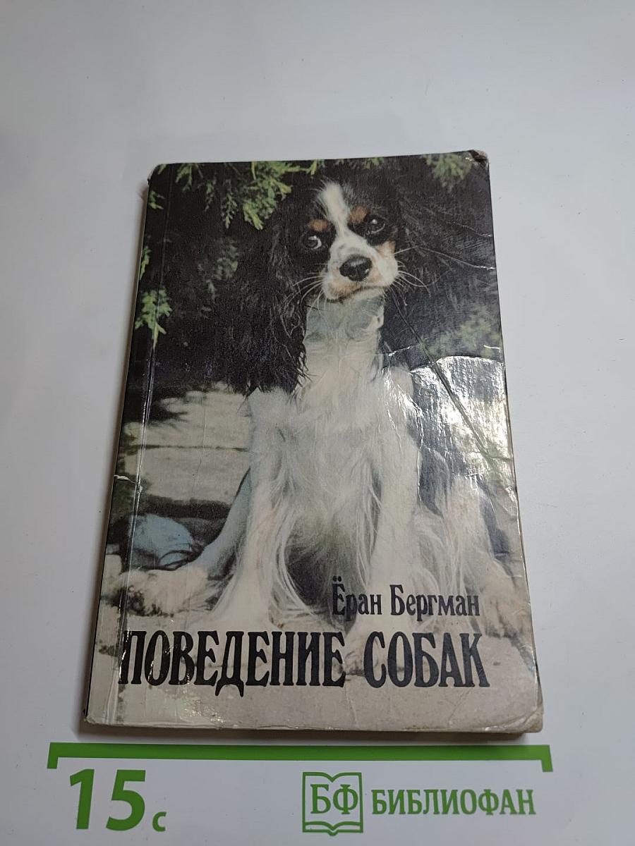 Поведение собак