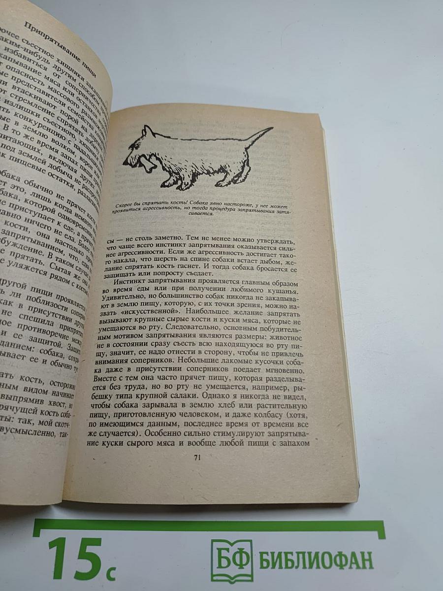 Поведение собак