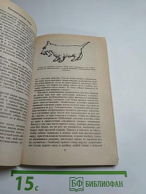 Поведение собак