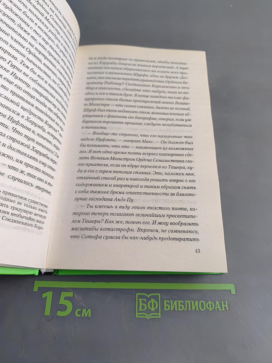 Горе господина Гро