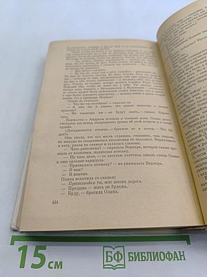 Опришки Кармелюк