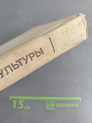 История физической культуры