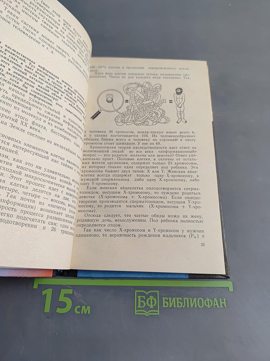 Поговорим об информации