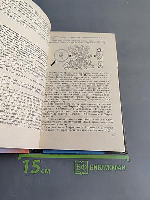 Поговорим об информации