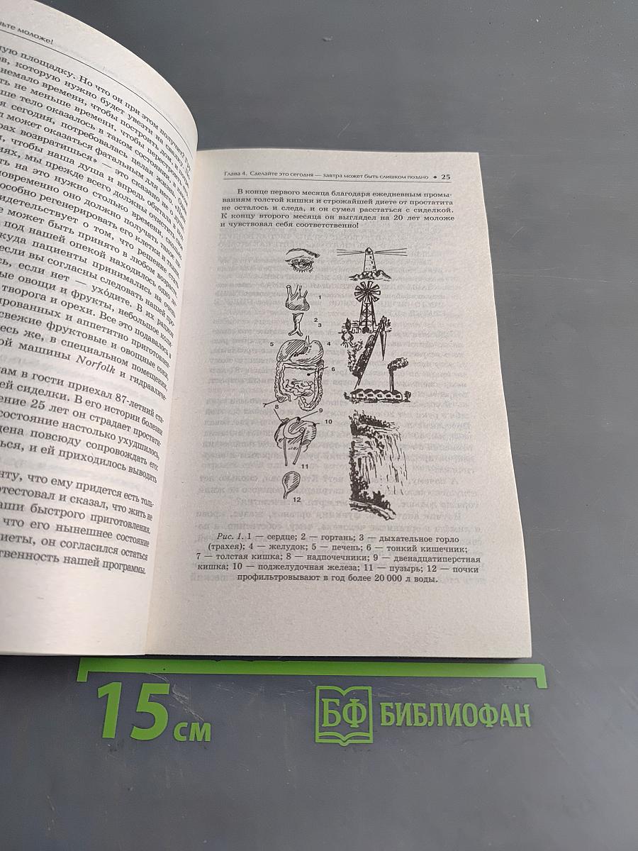 Стань моложе! Программа восстановления жизненных сил