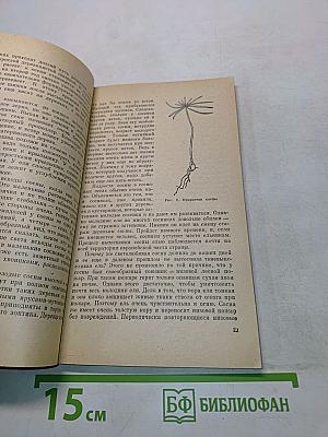 Мир лесных растений
