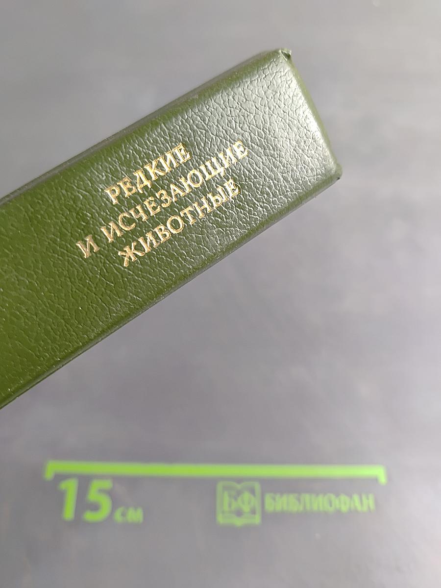 Редкие и исчезающие животные. Земноводные и пресмыкающиеся