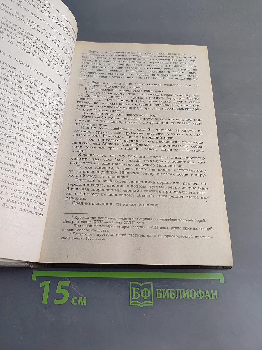 Сыновья человека с каменным сердцем