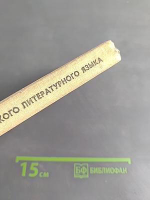 Нормы современного русского литературного языка