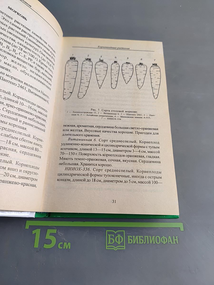 Огород – кормилец