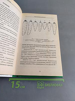 Огород – кормилец
