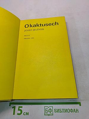 O kaktusech