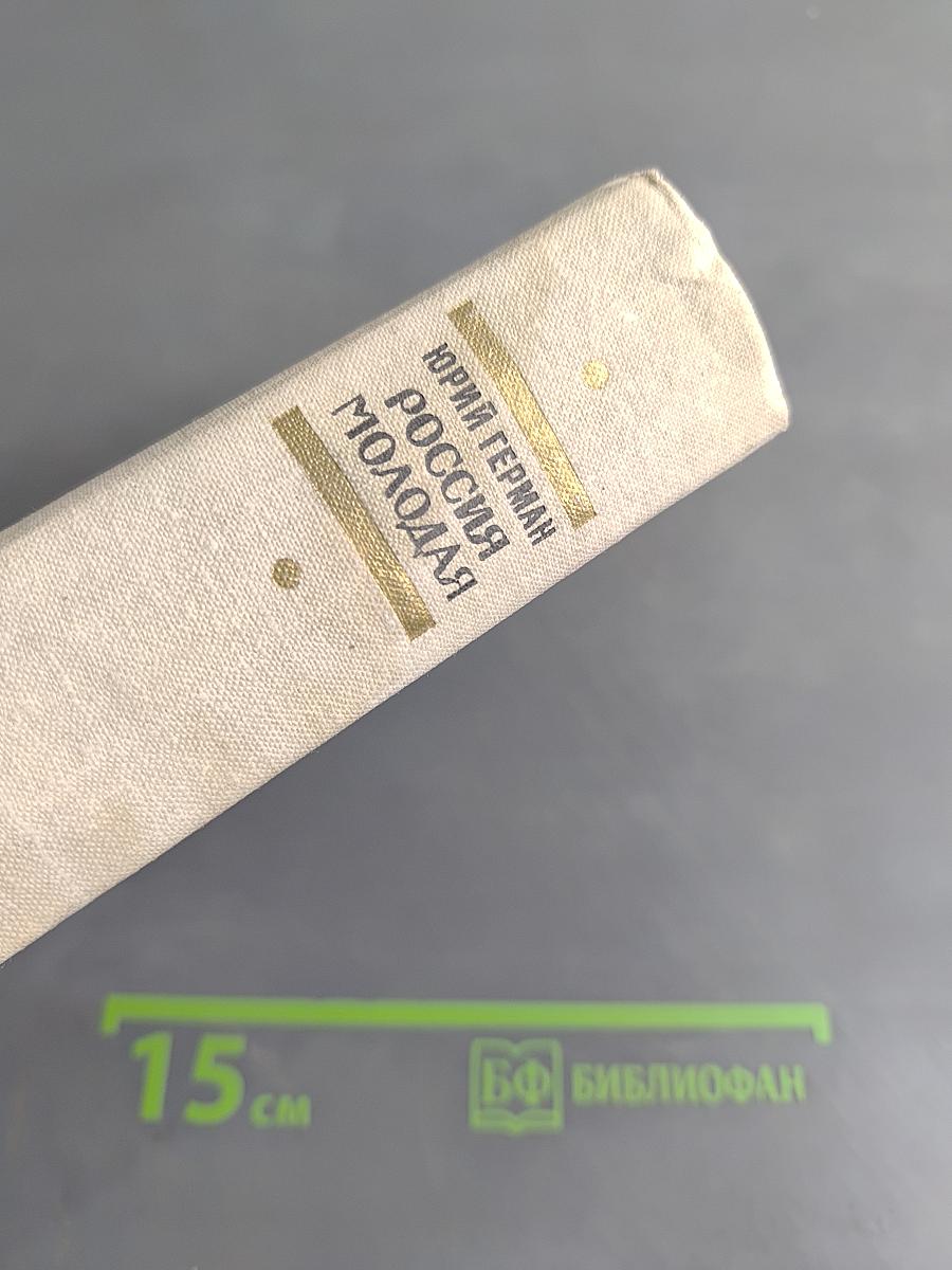 Россия молодая. Книга II
