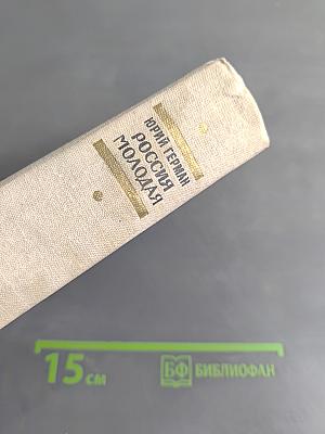 Россия молодая. Книга II