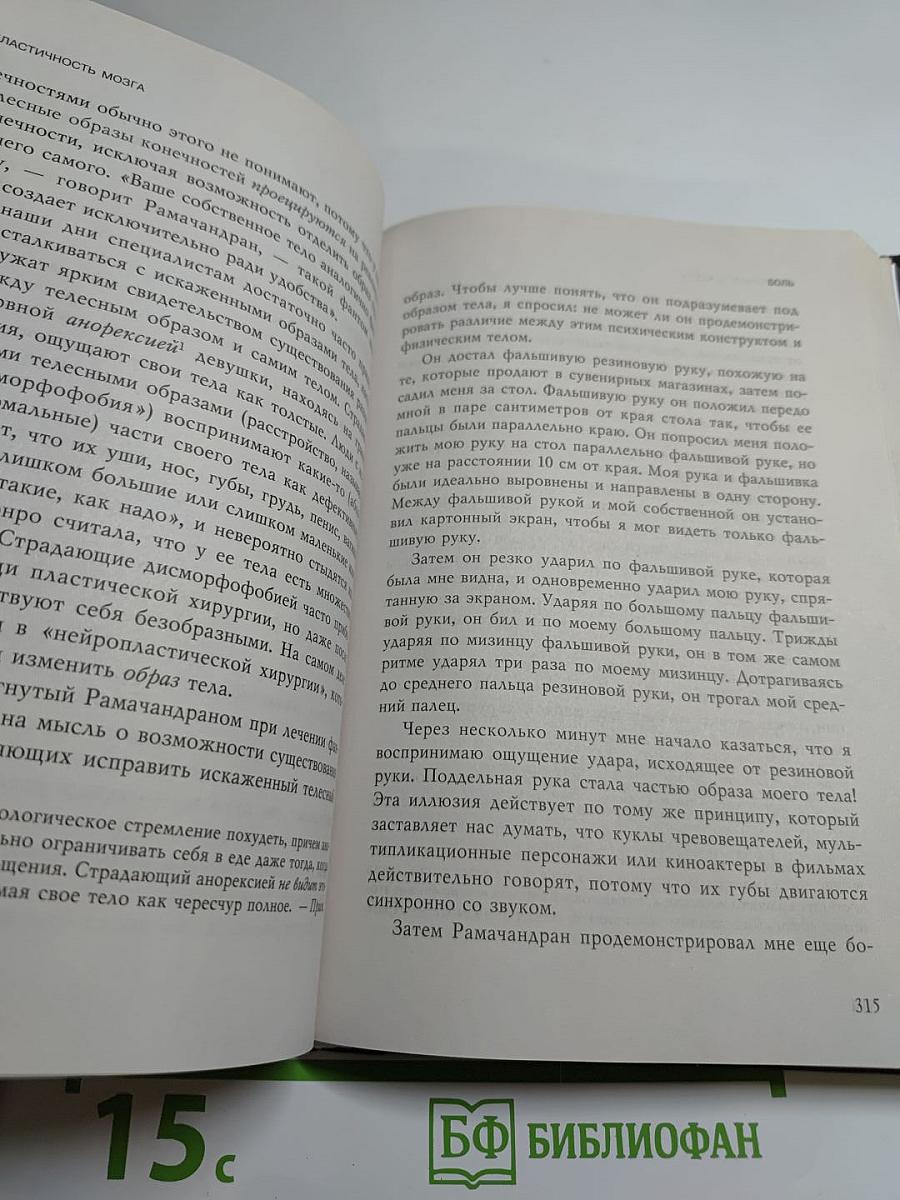 Пластичность мозга. Потрясающие факты о том, как мысли способны менять структуру и функции нашего мозга