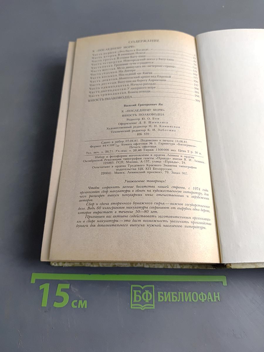 К последнему морю. Юность полководца