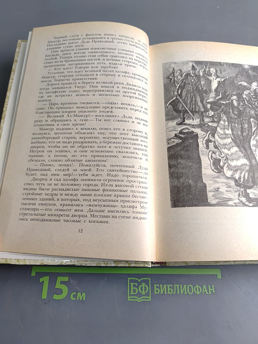 К последнему морю. Юность полководца