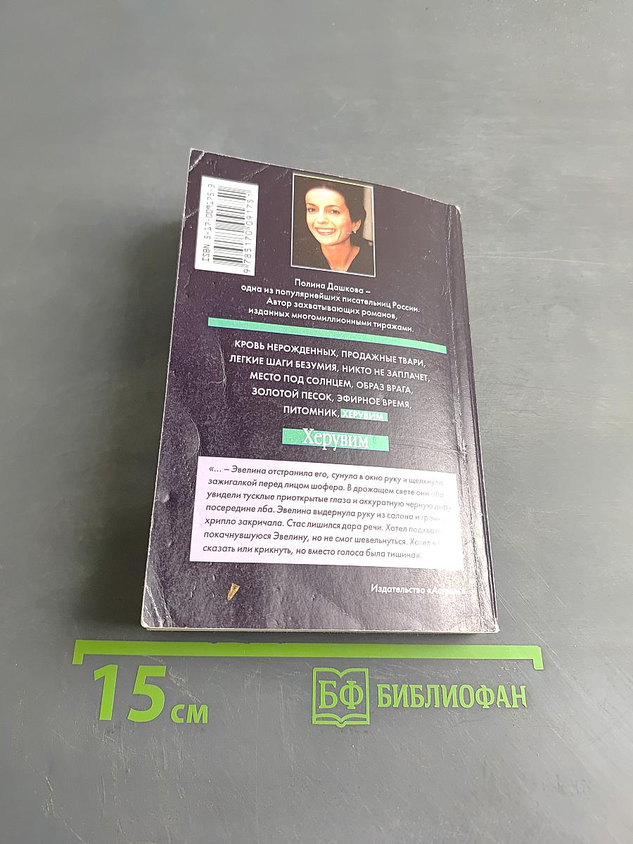 Херувим. Книга 1