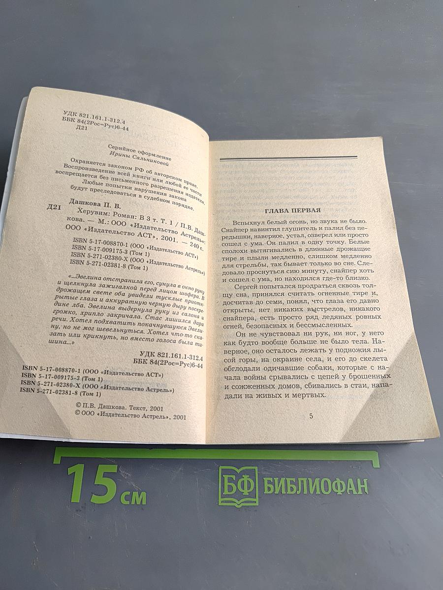 Херувим. Книга 1